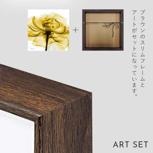 X-RAY CANVAS ART ゴールデンローズ スクエアS.|s6