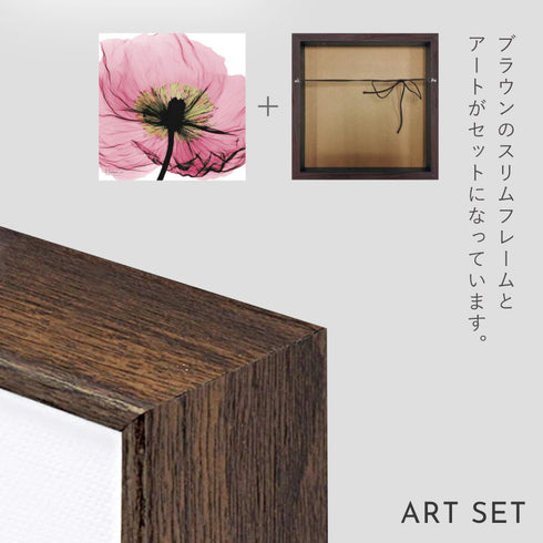 X-RAY CANVAS ART ピンクポピー スクエアS.|s6
