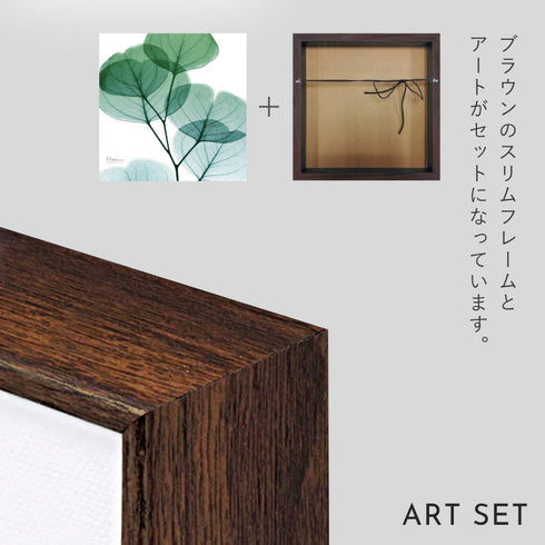 X-RAY CANVAS ART ユーカリメイト スクエアS.|s6