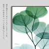 X-RAY CANVAS ART ユーカリメイト スクエアS.|s2