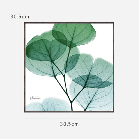 X-RAY CANVAS ART ユーカリメイト スクエアS.|s7