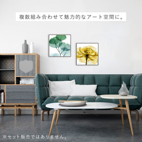 X-RAY CANVAS ART ユーカリメイト スクエアS.|s8