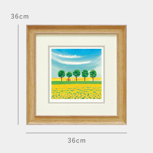 くりのきはるみ 菜の花畑5.|s6