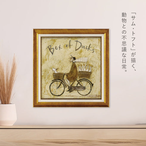 サム トフト アヒルボックス.|s2