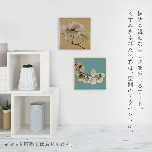 X-RAY CANVAS ART リーフブルー1 スクエアS.|s3