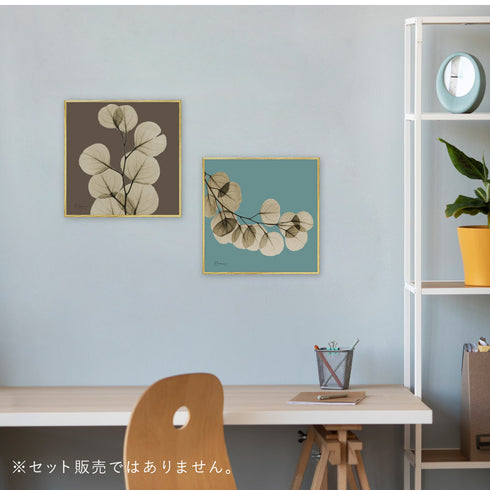 X-RAY CANVAS ART リーフブルー1 スクエアS.|s5