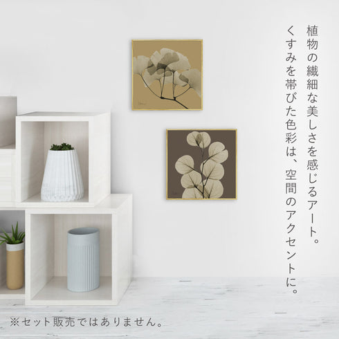 X-RAY CANVAS ART リーフブラウン1 スクエアS.|s3