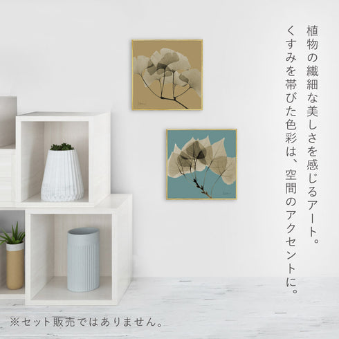 X-RAY CANVAS ART リーフブルー2 スクエアS.|s3