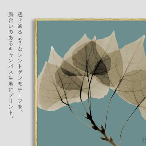 X-RAY CANVAS ART リーフブルー2 スクエアS.|s2