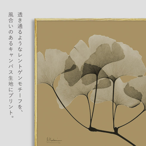 X-RAY CANVAS ART リーフオーカー1 スクエアS.|s2