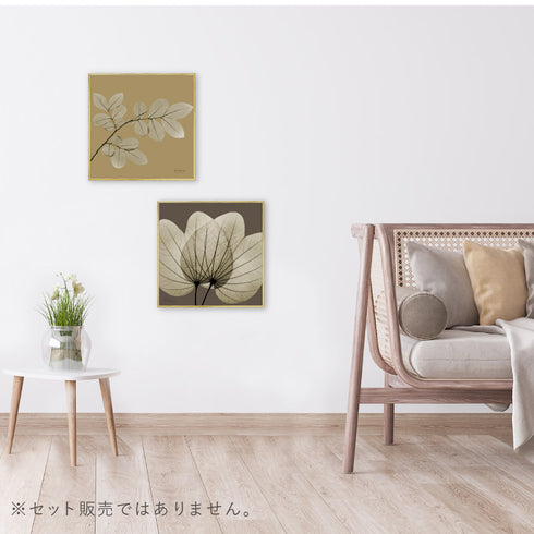 X-RAY CANVAS ART リーフブラウン2 スクエアS.|s5