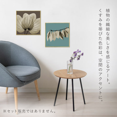 X-RAY CANVAS ART リーフブラウン2 スクエアS.|s3