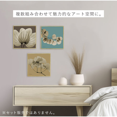 X-RAY CANVAS ART リーフブラウン2 スクエアS.|s8