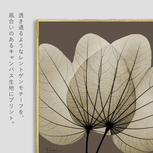X-RAY CANVAS ART リーフブラウン2 スクエアS.|s2