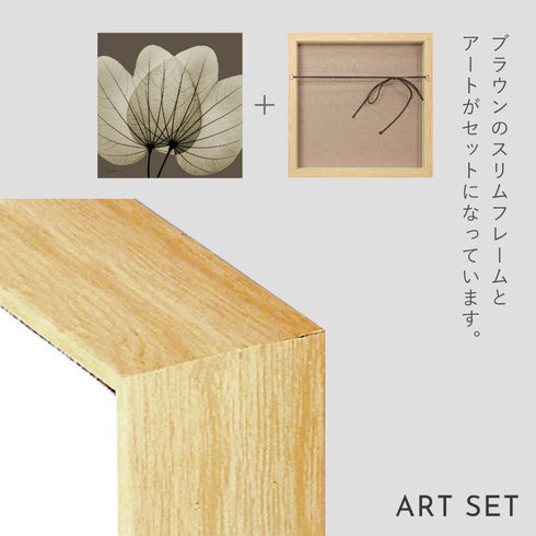 X-RAY CANVAS ART リーフブラウン2 スクエアS.|s6