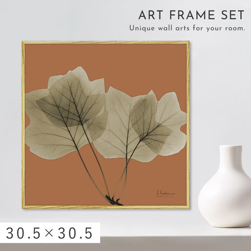 X-RAY CANVAS ART リーフオレンジ1 スクエアS.|m2