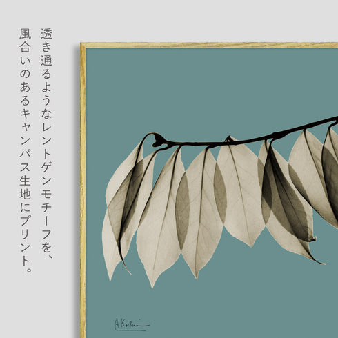 X-RAY CANVAS ART リーフブルー3 スクエアS.|s2