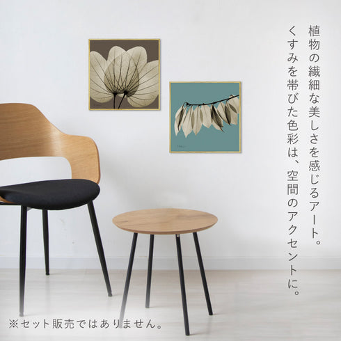 X-RAY CANVAS ART リーフブルー3 スクエアS.|s3