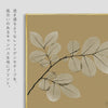 X-RAY CANVAS ART リーフオーカー2 スクエアS.|s2