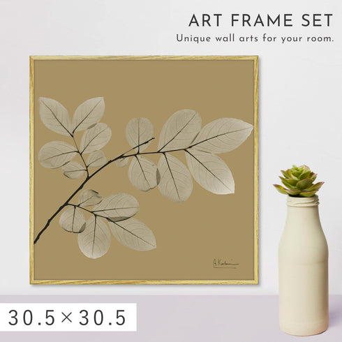 X-RAY CANVAS ART リーフオーカー2 スクエアS.|m2