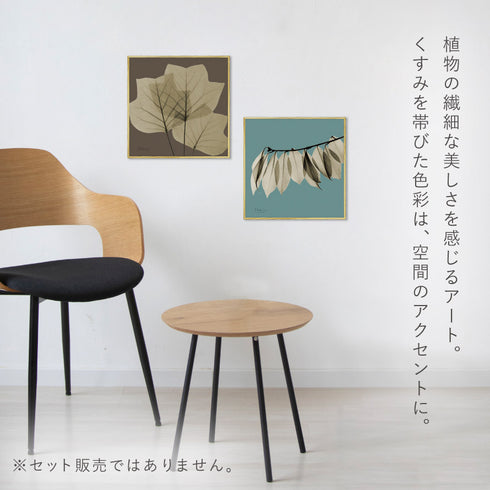 X-RAY CANVAS ART リーフブラウン3 スクエアS.|s3