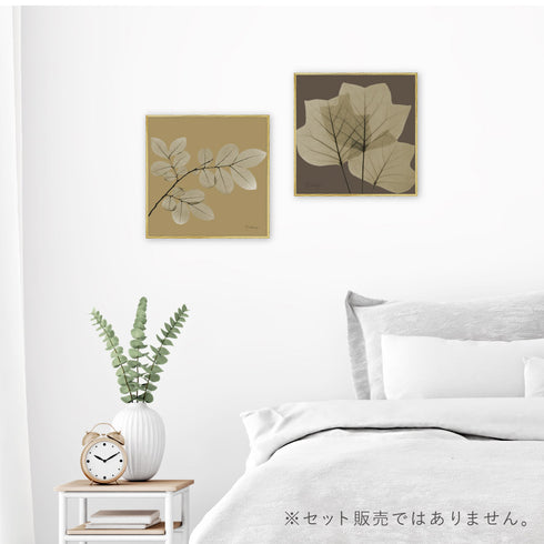 X-RAY CANVAS ART リーフブラウン3 スクエアS.|s5