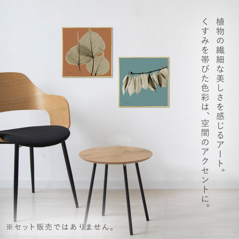 X-RAY CANVAS ART リーフオレンジ2 スクエアS.|s3