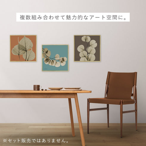 X-RAY CANVAS ART リーフオレンジ2 スクエアS.|s8