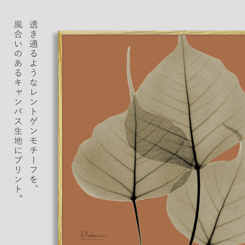 X-RAY CANVAS ART リーフオレンジ2 スクエアS.|s2