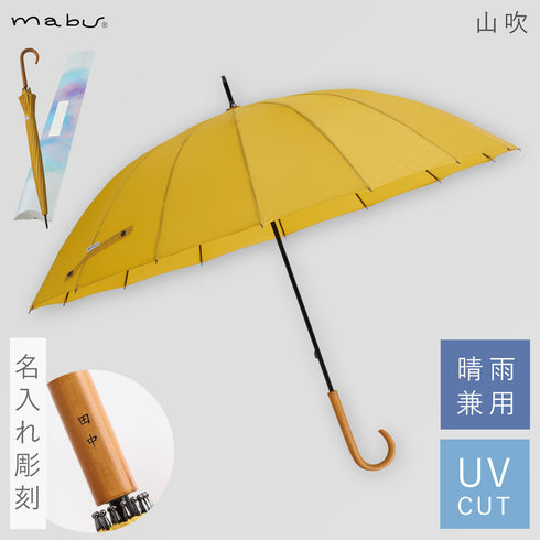 16本骨傘 江戸