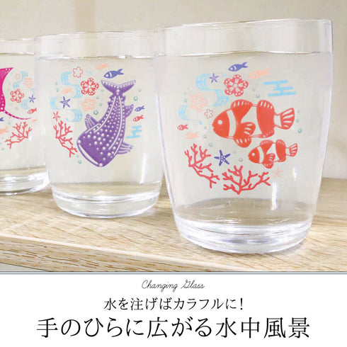 色変わりグラス 海の生き物.|s1
