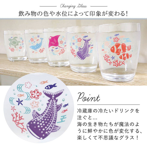 色変わりグラス 海の生き物.|s2