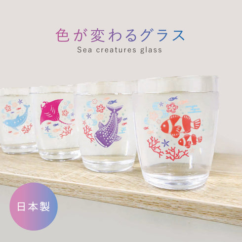 色変わりグラス 海の生き物.|s1