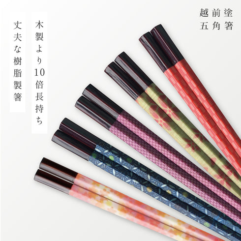 五角箸.|s1