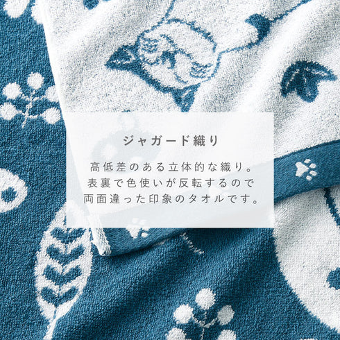 今治タオルブランドフェイスタオル まったりにゃんこ.|s6