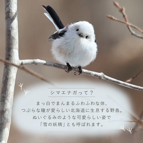 サッと拭けるトイレスリッパ シマエナガ.|s3