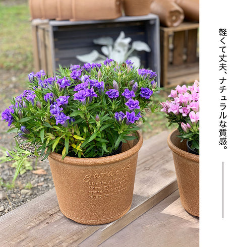 エコポット浅型 6号.|s3