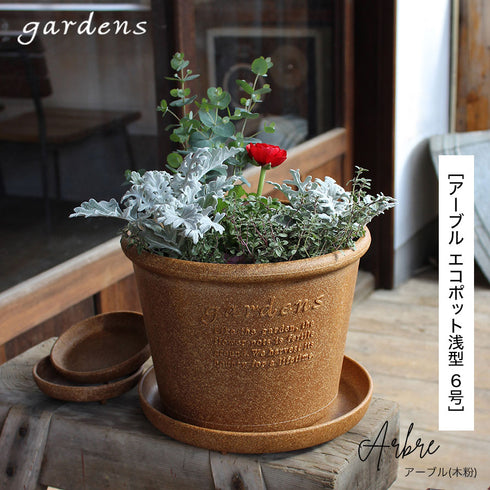 エコポット浅型 6号.|s1