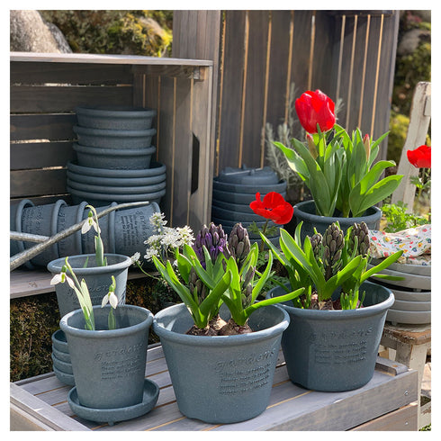 エコポット浅型 8号.|s9