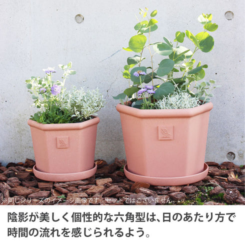 エコポット六角型280.|s2