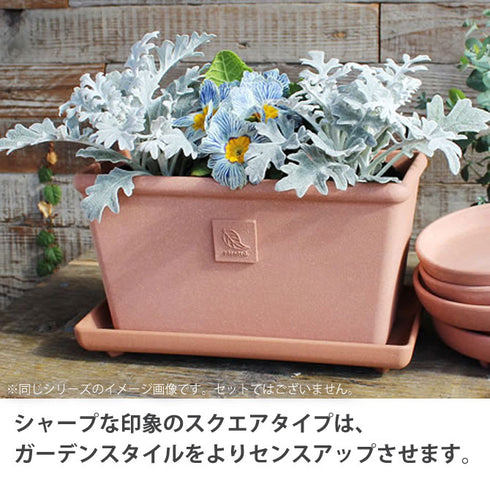 エコプレート角型300.|s3