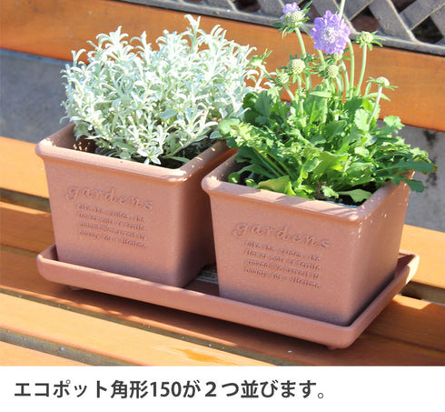 エコプレート角型300.|s2