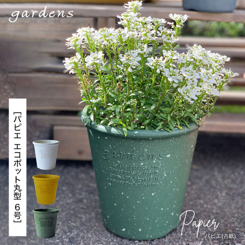 gardens パピエ エコポット丸型 6号.|s1