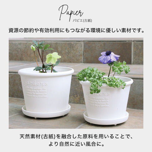 gardens パピエ エコポット浅型 6号.|s4