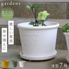 gardens パピエ エコポット浅型 7号.|m2