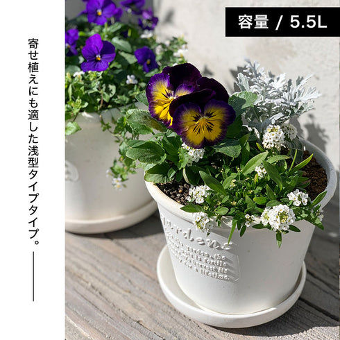 gardens パピエ エコポット浅型 8号.|s2