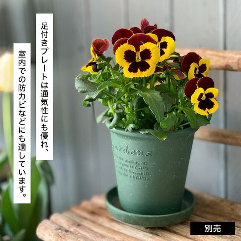 gardens パピエ エコプレート丸型 6号.|s3