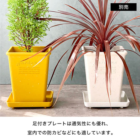 gardens パピエ エコプレート角型 120.|s3