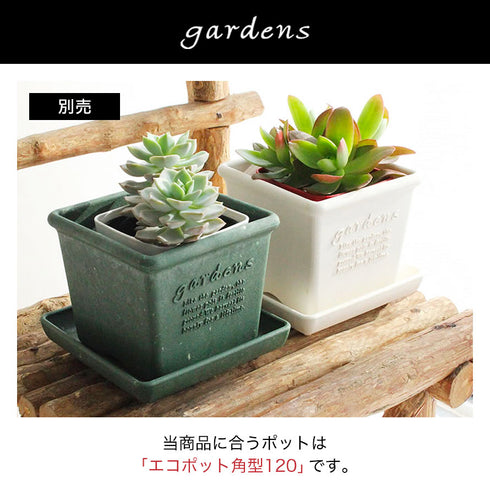 gardens パピエ エコプレート角型 120.|s8