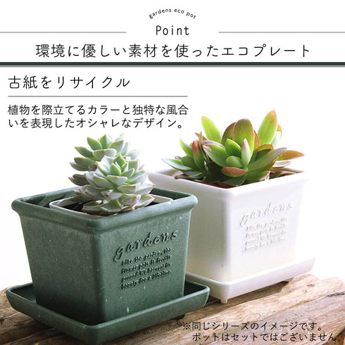 gardens パピエ エコプレート角型 300.|s2